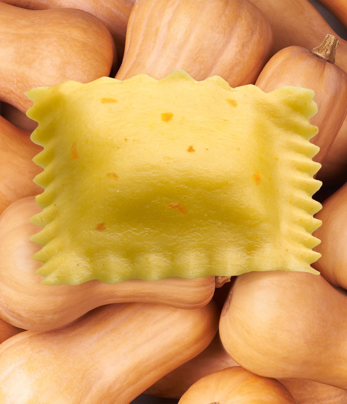 Extra feine Teigware gefüllt mit cremigem Butternut-Kürbis
